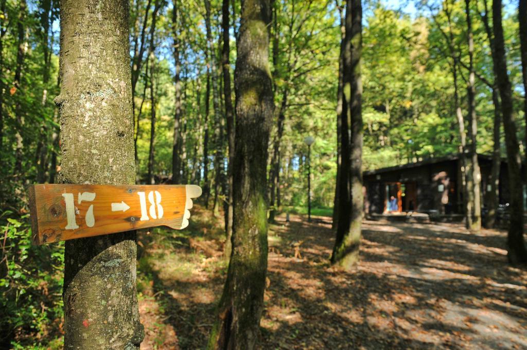 Village De Vacances D'Oignies Zewnętrze zdjęcie